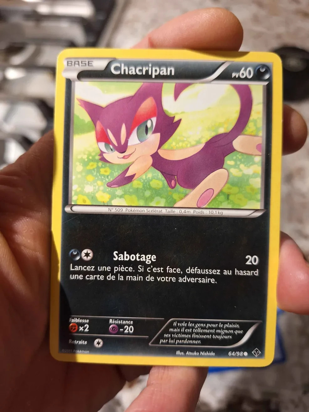 Purrloin 64/98 FRENCH BW Emerging Powers 2011 French NM Non-Holo Pokémon TCG