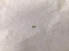 Rolex Setting Lever Cal.1800 Part#443