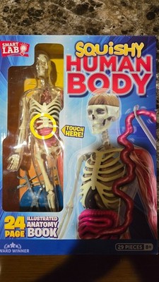 SmartLab Squishy Human Body - SL06428