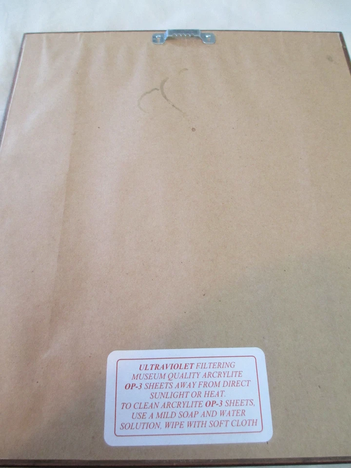 Tim Biskup Painting Jackson 500 Series #247 Framed Original Art Early Days OOAK - Image 3 of 4