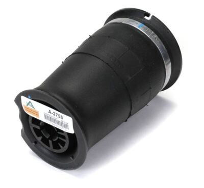 Arnott Air Spring Rear A-2755