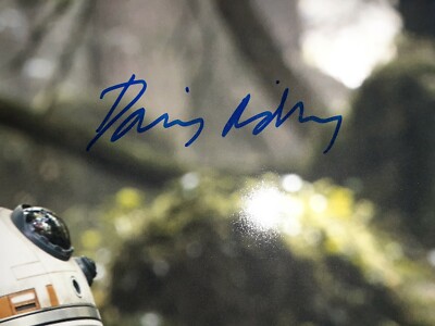 Daisy Ridley Signed Star Wars 16X20 Photo PSA/DNA COA Autograph