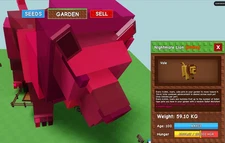 🦁Huge Nightmare Lion 🦁 59kg+ Grow a Garden | Cheap and Fast