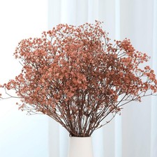 Babys Breath Dried Flowers Bouquet-17'' 2500 Ivory Dry Flowers, Natural Gyps...