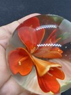 Vintage Flower Glass Paper Weight Orange /red Flower — photo 5