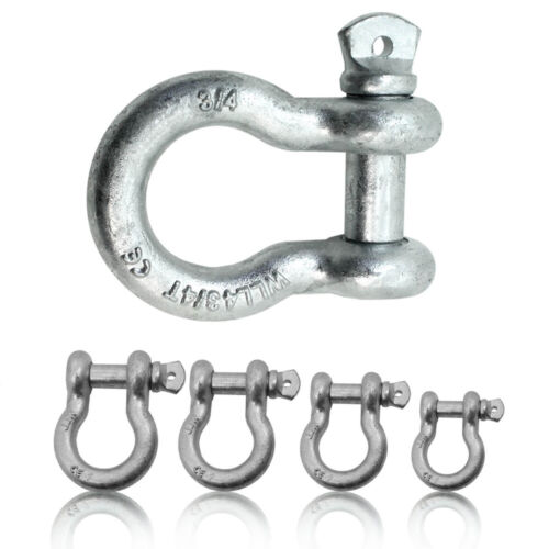 Round shackle high strength shackle welded galvanized DIN 13889 connector eye bolts - Picture 1 of 1
