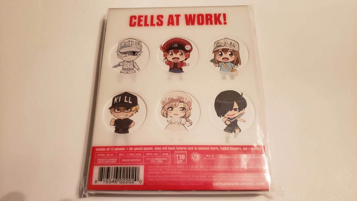 Cells at Work! 2 terminou com 8 episódios