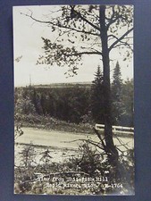 Rapid River Michigan MI View From Whitefish Hill Real Photo Postcard RPPC 1947