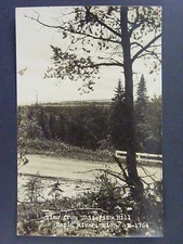 Rapid River Michigan MI View From Whitefish Hill Real Photo Postcard RPPC 1947