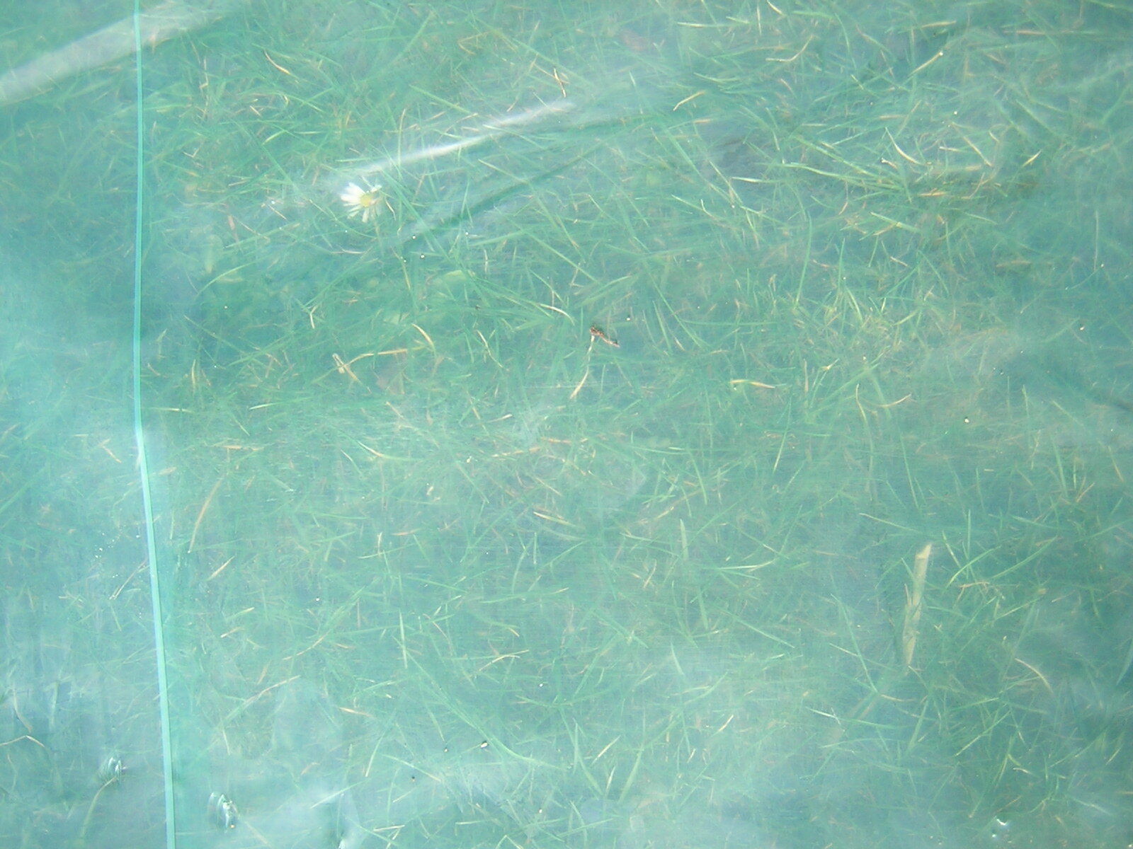Bild 2 von 7