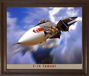 F-14-Tomcat-Military-Jet-Aircraft-Aviation-Brown-Rust-Framed-Art-Print-Picture