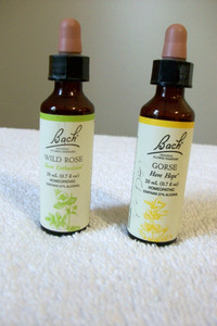 2 "Dr. Bach 20ml Homeopathic Flower Remedies Drops" GORSE & WILD ROSE Used
