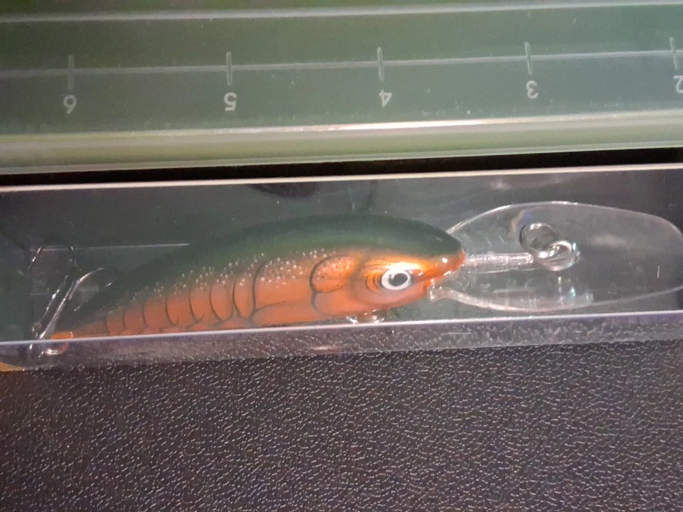 Bagley Balsa Shad 08 Foto 3 de 4