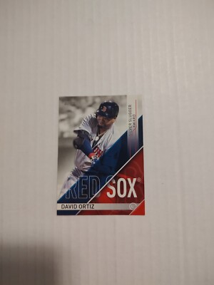 2017 Topps - Wal-Mart Silver Slugger Awards Silver #SS-17 David Ortiz (PWE)(03)