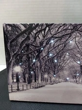 6x8 Winter Park Tabletop Light Up Canvas.