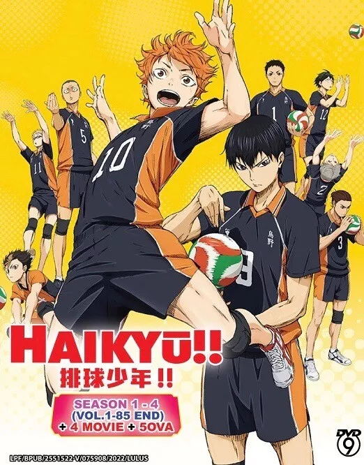 Is Haikyu!! Dubbed? & 9 Other Questions About Season 3, Answered