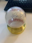 Ken Griffey Jr Autographed Baseball Authenticated by The Score Board