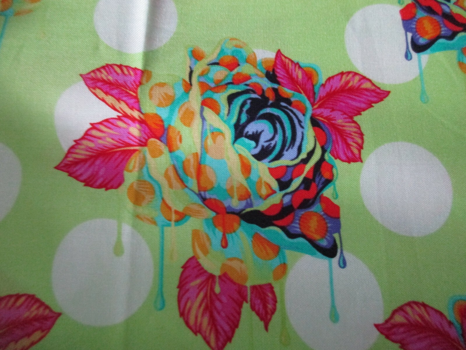Picture 4 of 4