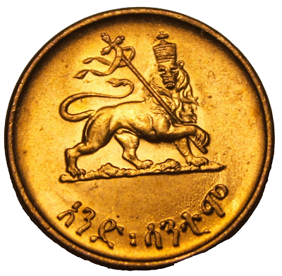 標本 Etiopia Helicopris densissa 35mm 標本 Etiopia Helicopris