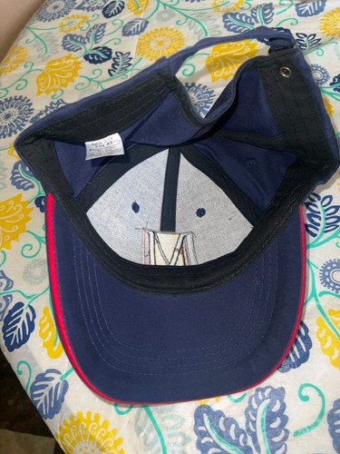 NEW MILLION MAN MARCH OFFICIAL EMBROIDED 1OTH ANNIVERSARY BLUE BASEBALL CAP 2005 - Picture 3 of 14