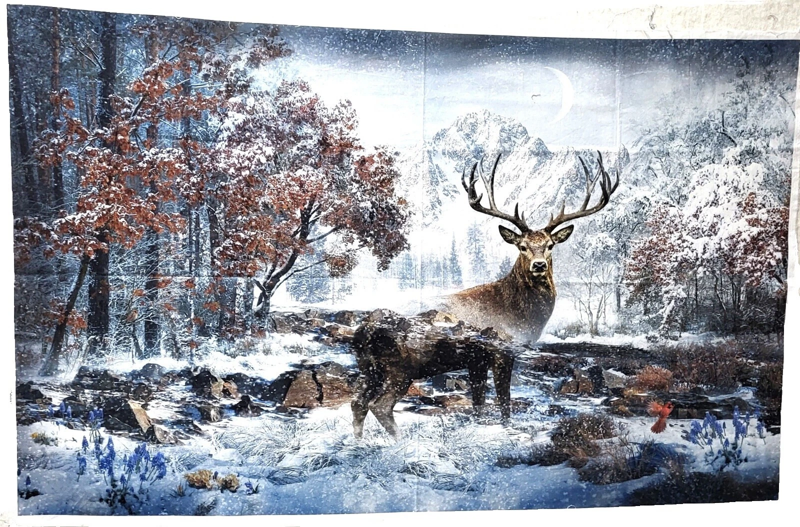 Paneles de tela de algodón Hoffman California Fabrics