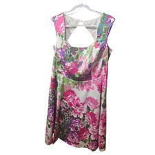 Db Establish 1962 Floral Sleeveless Dress With Back Cutout Size 20 Womens Polyes
