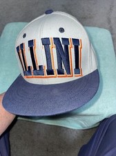 NCAA Illini University Snap Back Gray And Blue Cap Free Shipping