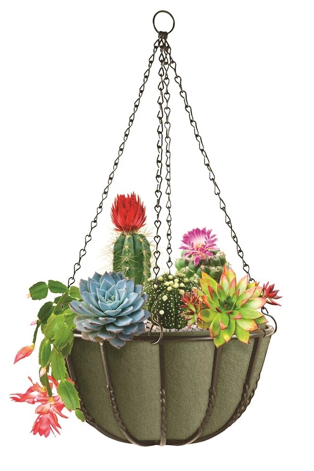 Smart Pot NoCoco Forro Tela Colgante Cesta Forro Paquete de 3 (16 pulgadas Verde Bosque) Foto 2 de 2