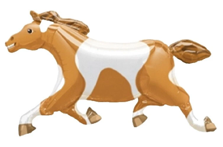 Anagram Birthday Animals Party Balloons