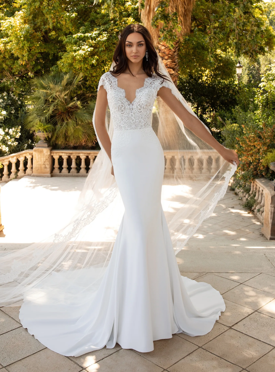Pronovias Milady Wedding Gown