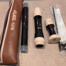 AlmUnused AULOS AlRecorder Case vB