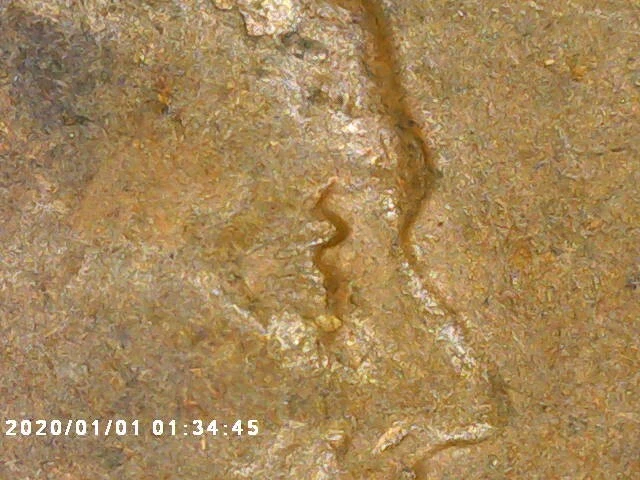 💥 1924 P Lincoln Wheat Cent DDO Penny💥 C6 - Image 2 of 4