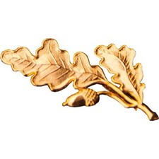 Eichenlaub groß als Anstecker - paarweise Hubertus Schützen gold oder silber
