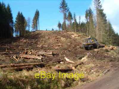Foto 6x4 Fällungen im Kilmartiner Wald Carnassarie Dieses Gebiet ist derzeit um 2006