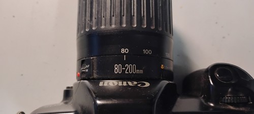 Canon EOS Rebel - Bild 15 von 19