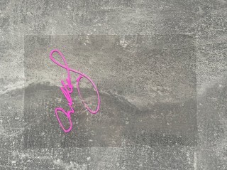 Charlotte Flair Signed Funko Pop Window For Window Swap WWE With COA/Photo Proof