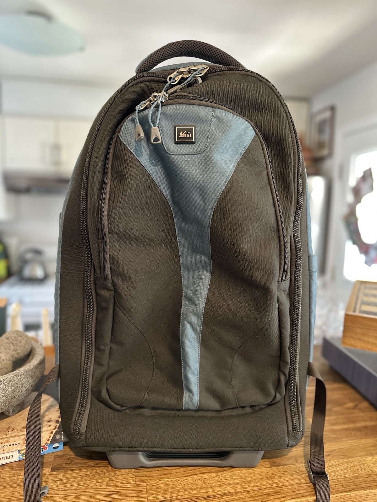 REI Explorer Expedition Wheeled Rolling Travel Backpack Lugg