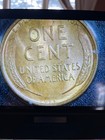 1909 S VDB Lincoln Wheat Copper Cent 1C ACCUGRADE MS 65 RED — photo 3