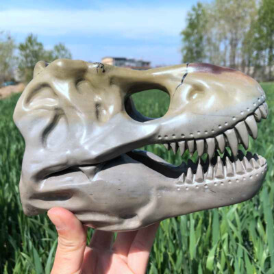 3.58LB Natural Drawing stone quartz dinosaur skull hand carved