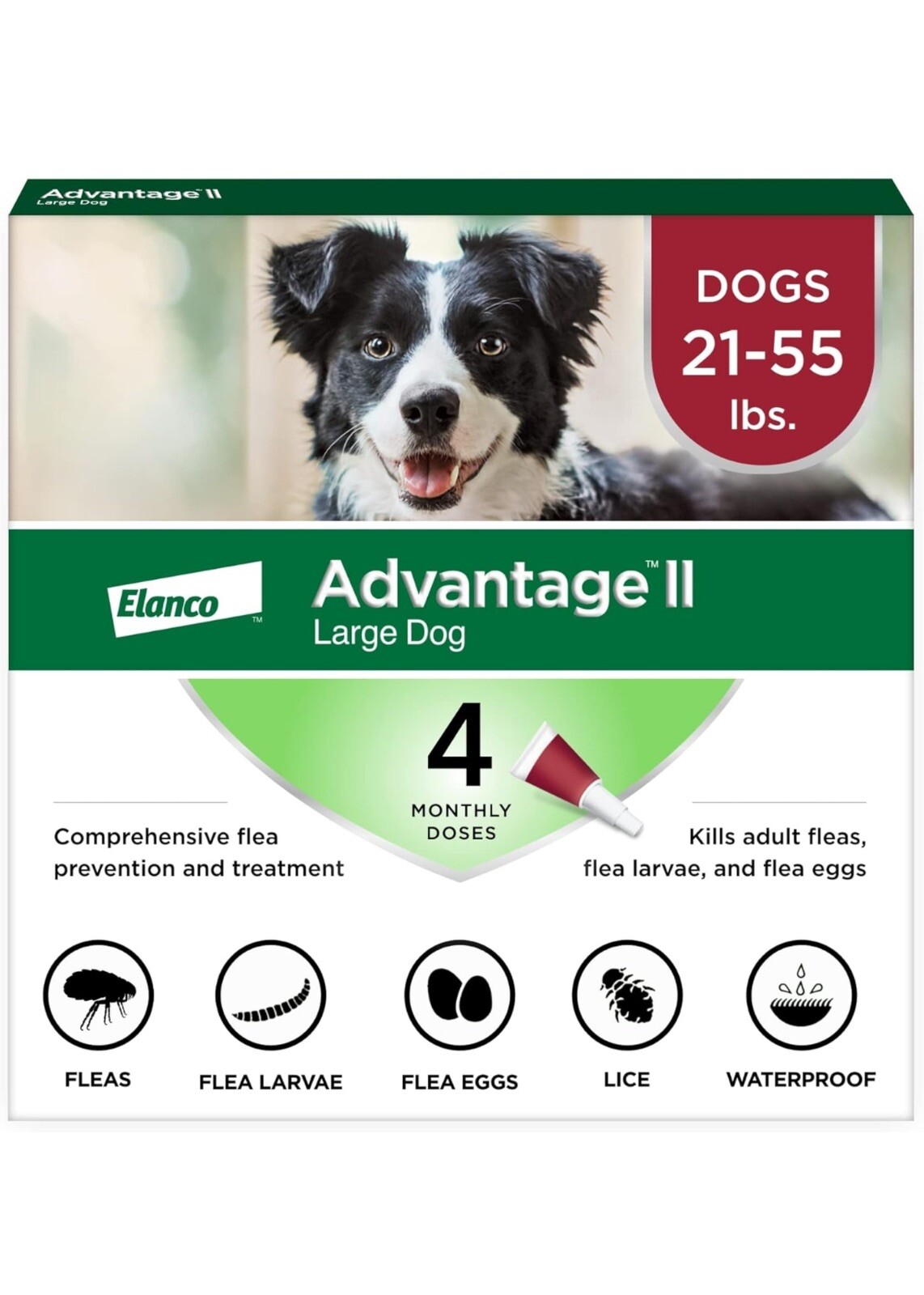 Advantage II Flea Treatment and Prevention for Large Dog 2155lbs,4