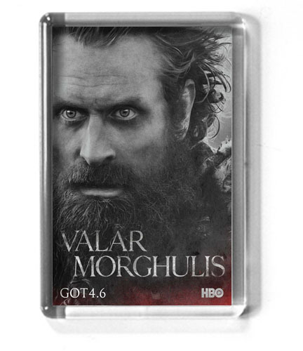 GAME OF THRONES fridge magnet SEASON 4, 8 designs, Brienne, The Hound, Ygritte - Picture 2 of 9