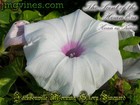 Bild 6 von 6