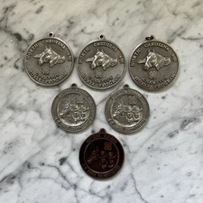 NC 4-H Horse Championship Medals & Southern Regional Medals Lot of 6 for Display