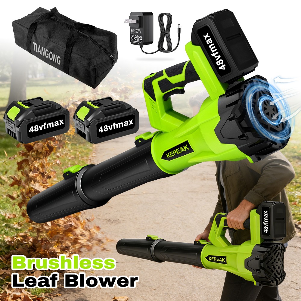 Cleaner Snowblower 6 Speed Levels With 2 Batteries