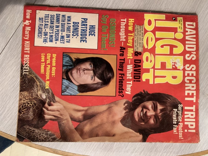 Tiger Beat Magazine April 1971