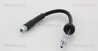 Bremsschlauch FÜR Audi A6 C6 Avant (4F5), Audi A6 C6 (4F2) - Triscan 8150 29238