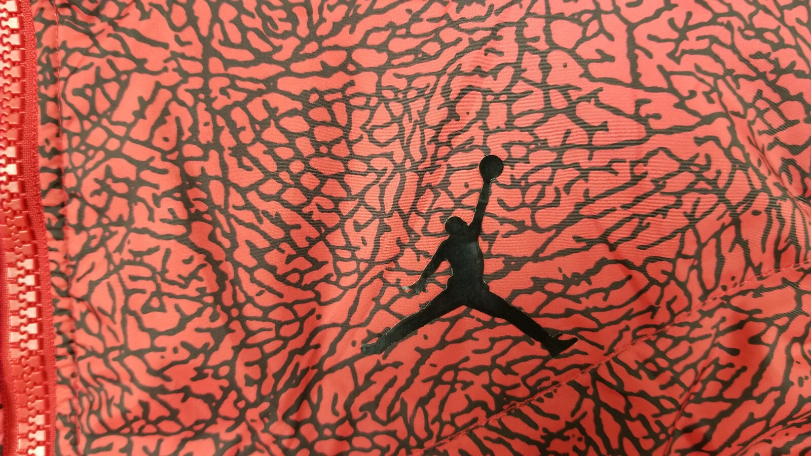 Picture 5 of 14