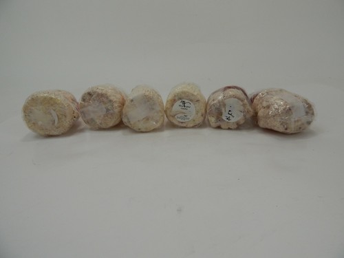 AJ Quality Handcrafted Candles Set of 6 Santa Candles - Picture 5 of 11