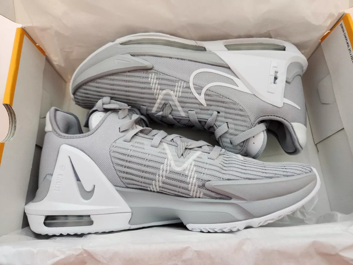 Nike lebron cheap 6 Grey