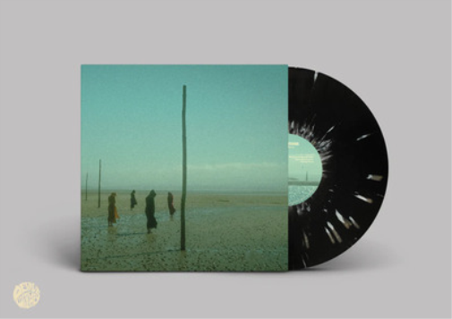 Devil's Witches In All Her Forms (Vinyl LP) 12" Album Coloured Vinyl